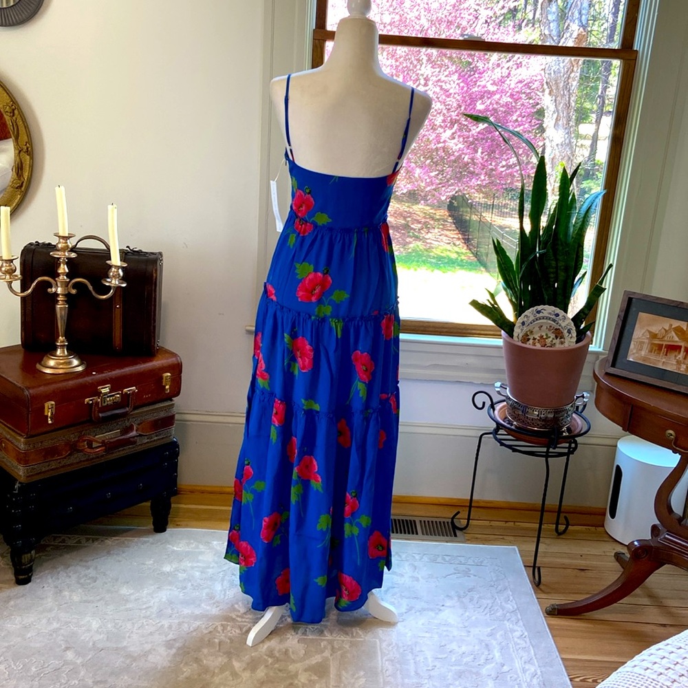 NWT beautiful Flynn Skye blue floral maxi dress size XS - Picture 7 of 9
